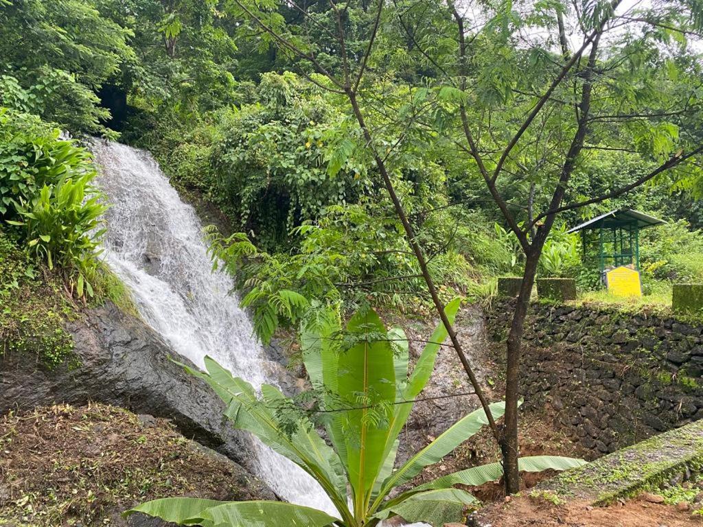 Earth Lounge Resort Vagamon Exterior photo
